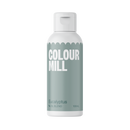 Food Color by Colour Mill in 100 ml. bottle - BakersBodega – Baking & Cake Decorating Supplies SuperStore