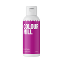 Food Color by Colour Mill in 100 ml. bottle - BakersBodega – Baking & Cake Decorating Supplies SuperStore