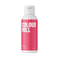 Food Color by Colour Mill in 100 ml. bottle - BakersBodega – Baking & Cake Decorating Supplies SuperStore