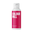 Food Color by Colour Mill in 100 ml. bottle - BakersBodega – Baking & Cake Decorating Supplies SuperStore